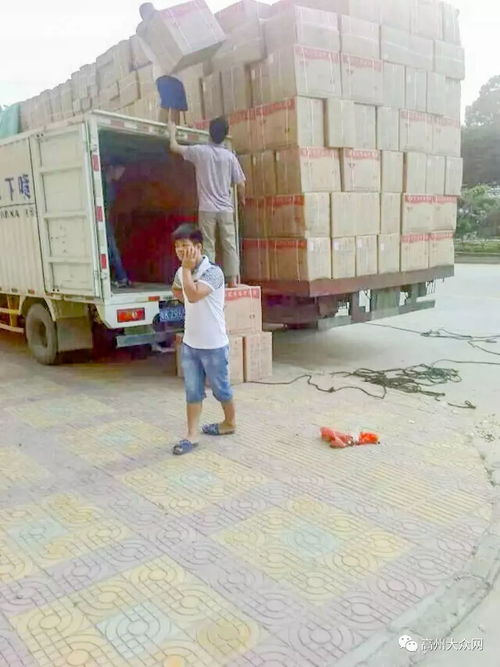 高州市环华装卸服务部 以专业搬运装卸与一流打包服务，树立行业标杆